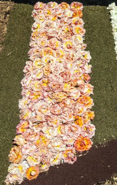 Bahçe çiçek yaprakları La Orotava Tenerife Adası ile.