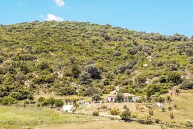 Alanları Endülüs İspanya güneşli bir günde