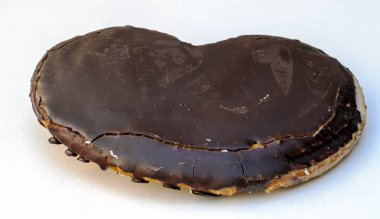 Beyaz arka plan tarafından çevrili çikolata palmiye ağacı