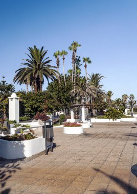 Puerto de la Cruz'da Palm yürüyüşte güneşli bir gün