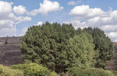 İspanya Kuzey asunny günde Guadalajara dağlarında