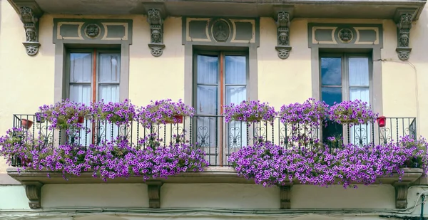 Façade Balcon Pierre Aux Fleurs Violettes — Photo