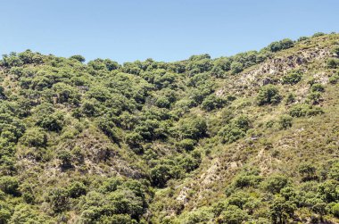 İspanya Kuzey asunny günde Guadalajara dağlarında