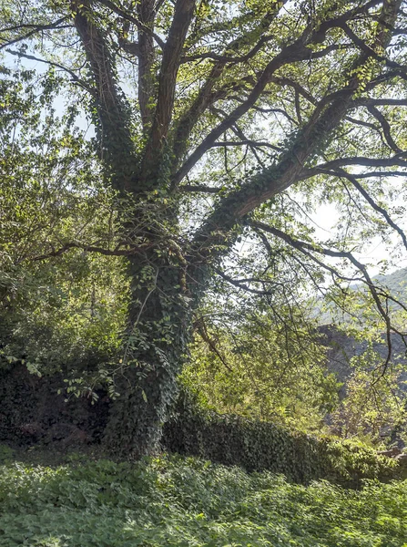 Hory Francouzských Alpách Zamračený Den — Stock fotografie