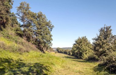 Güneşli bir günde Fransa ağaçları ile alanlar