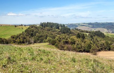 Güneşli bir günde Fransa ağaçları ile alanlar