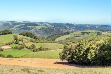 Güneşli bir günde Fransa ağaçları ile alanlar