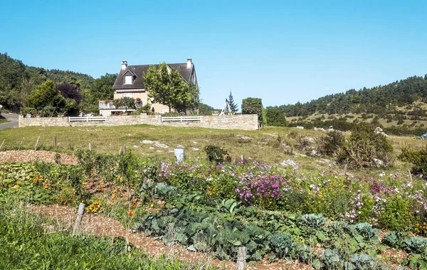 Felder Mit Bäumen Frankreich Einem Sonnigen Tag — Stockfoto