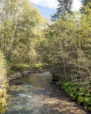 Nehir Alp Dağları'nda