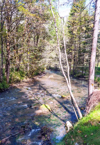 Rivier Bergen Van Alpen — Stockfoto