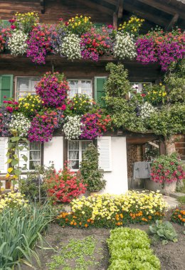 İsviçre 'de pencerelerde çiçekler olan cephe