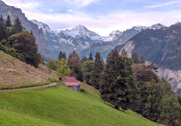 曇りの日にスイスのムルレン山 — ストック写真