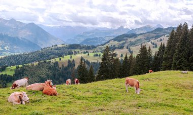 Bulutlu bir günde İsviçre 'deki Murren Dağları