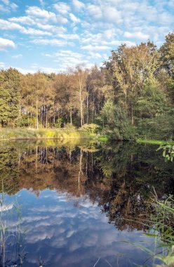 Bulutlu bir günde Hollanda'da su kanalı