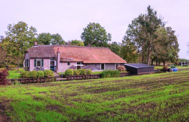 Giethoorn, bulutlu bir günde kanalları ve kırsal evleri olan Hollanda köyü.
