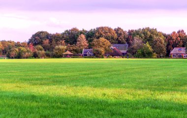 Bulutlu bir günde Hollanda alanların ağaçlarda
