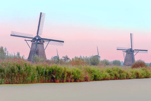 Mills Kinderdijk Hollandiában Egy Felhős Napon — Stock Fotó