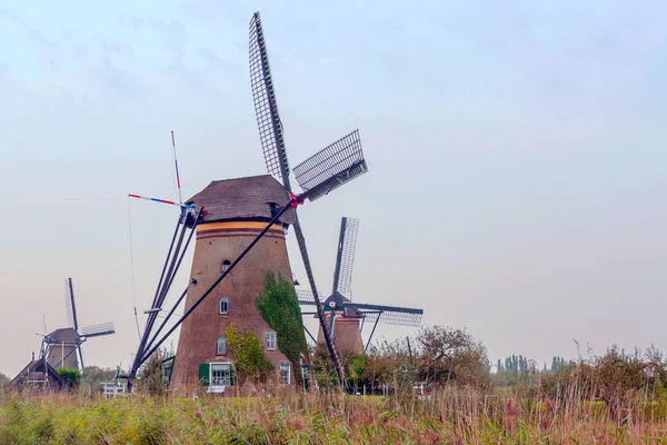 Mills Kinderdijk Hollandiában Egy Felhős Napon — Stock Fotó