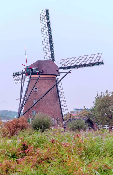Mills Kinderdijk Holland Cloudy Day — Stock Photo, Image