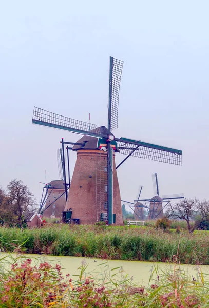 Mills Kinderdijk Hollandiában Egy Felhős Napon — Stock Fotó