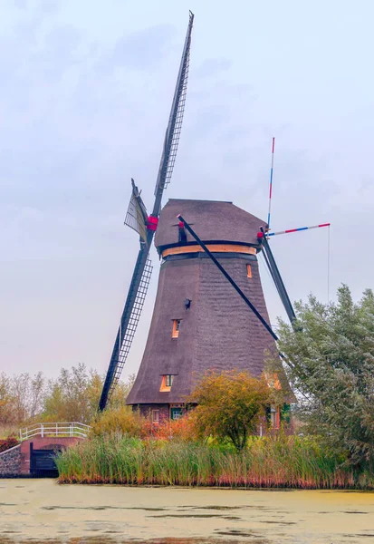 Mills Kinderdijk Hollandiában Egy Felhős Napon — Stock Fotó