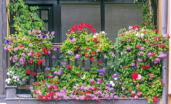 Façades Maisons Colorées Alsace Dans Nord France Par Une Journée — Photo