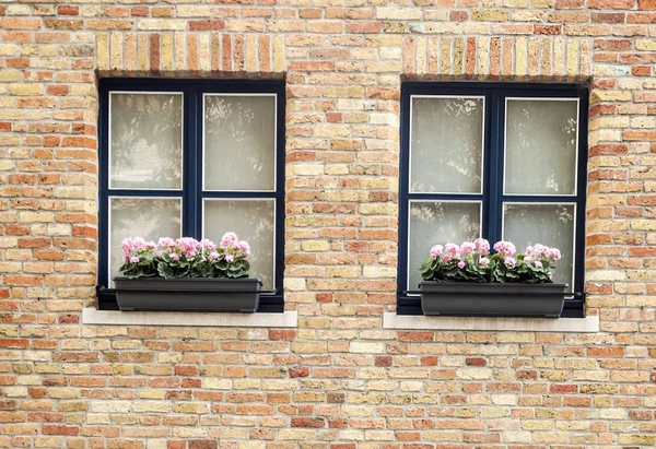 Fachadas Casas Brujas Bélgica — Foto de Stock