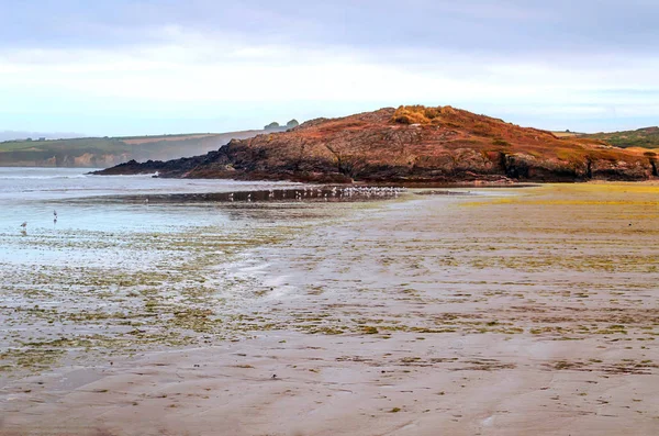 Coast Normandy France Cloudy Day — Stock Photo, Image