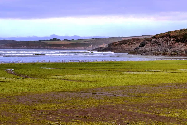 Coast Normandy France Cloudy Day — Stock Photo, Image