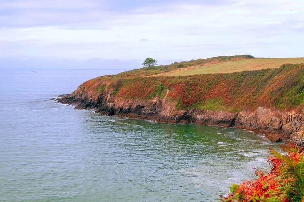 Küste Der Normandie Frankreich Einem Bewölkten Tag — Stockfoto