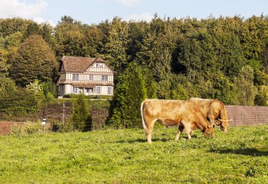 Fransa 'da bulutlu bir günde kır evi