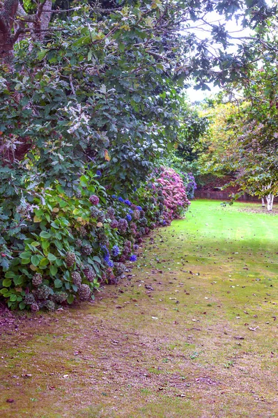 Giardino Francia Una Giornata Nuvolosa — Foto Stock