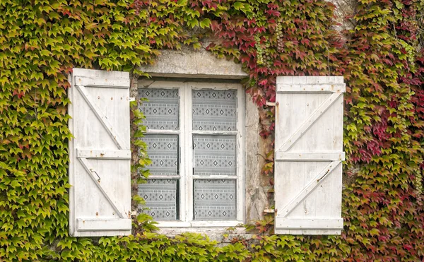 Stare Kamienne Fasady Windows — Zdjęcie stockowe