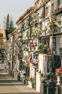 Güneşli bir günde Granada şehrinde Mezarlığı