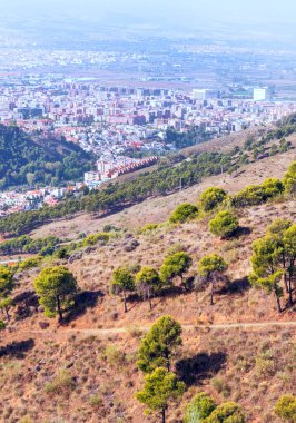 İspanya 'nın Granada kentindeki ormanlar şehir manzaralı.