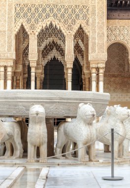 Granada 'daki Alhambra' da aslanların avlusunda mimari detaylarla birlikte..