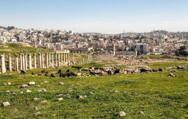 Güneşli bir günde Jerash Ürdün'de Roma arkeoloji kalır.