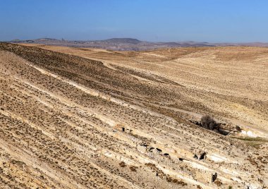 Çöl Shobak Ürdün