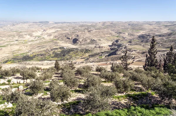 Mont Nebo Jordanie Par Une Journée Ensoleillée Mont Nebo Est — Photo