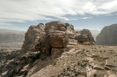 Ürdün'de Petra antik şehir kalıntıları. Petra, Jordan ve kimin nüfusu Raqmu olarak adlandırılan antik Nabatean Krallığı ' nın başkenti önemli bir arkeolojik sitedir. Petra taş ile inşa ama kelimenin tam anlamıyla, kazılan bir şehir değildir ve 