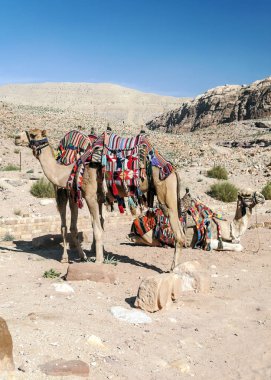 Ürdün'de Petra antik şehir kalıntıları. Petra, Jordan ve kimin nüfusu Raqmu olarak adlandırılan antik Nabatean Krallığı ' nın başkenti önemli bir arkeolojik sitedir. Petra taş ile inşa ama kelimenin tam anlamıyla, kazılan bir şehir değildir ve 