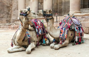 Ürdün'de Petra antik şehir kalıntıları. Petra, Jordan ve kimin nüfusu Raqmu olarak adlandırılan antik Nabatean Krallığı ' nın başkenti önemli bir arkeolojik sitedir. Petra taş ile inşa ama kelimenin tam anlamıyla, kazılan bir şehir değildir ve 