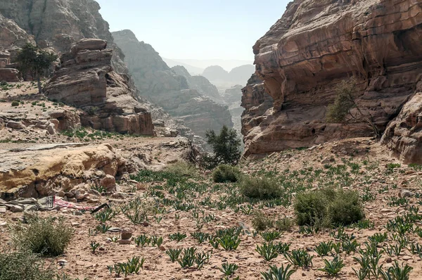 Ruins of the ancient city of Petra in Jordan. Petra is an important archaeological site in Jordan, and the capital of the ancient Nabatean kingdom, whose inhabitants called it Raqmu. Petra is not a city built with stone but, literally, excavated and