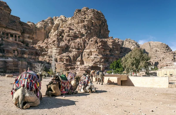 Ruinerna Den Antika Staden Petra Jordanien Petra Viktig Arkeologisk Plats — Stockfoto