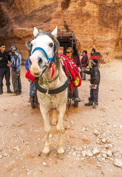 Petra Jordania Febrero 2015 Turistas Petra Jordania Petra Sitio Arqueológico — Foto de Stock