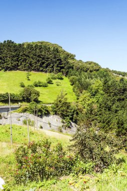 Güneşli bir günde İspanya Bask Ülkesi'dağlar alanlarla.