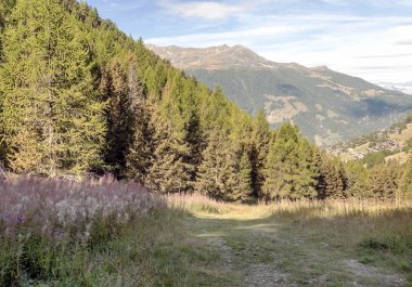 Güneşli bir günde Saint Luc Vadisi'nde İsviçre Alpleri dağlarında.