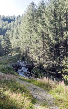 Güneşli bir günde Saint Luc Vadisi'nde İsviçre Alpleri dağlarında.