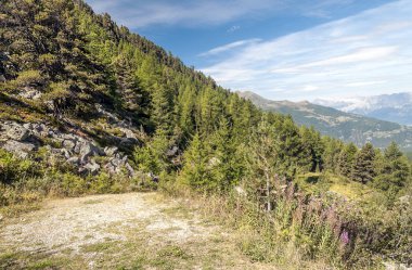 Güneşli bir günde Saint Luc Vadisi'nde İsviçre Alpleri dağlarında.