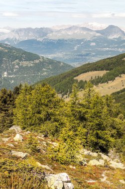 Güneşli bir günde Saint Luc Vadisi'nde İsviçre Alpleri dağlarında.